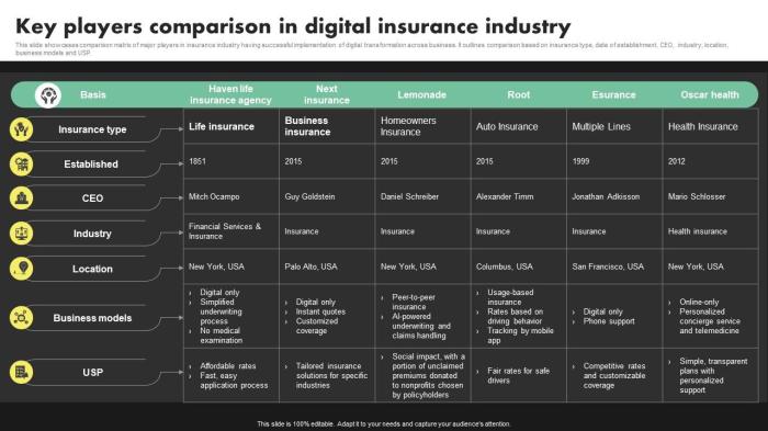 Key Players Comparison In Digital Insurance Deployment Of Digital ...